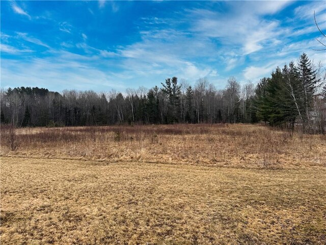3168 W Howard St, Winter, WI 54896 - view of landscape with a wooded view