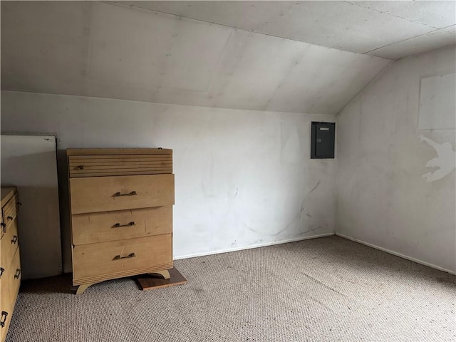 3168 W Howard St, Winter, WI 54896 - bonus room featuring electric panel, lofted ceiling, and carpet floors
