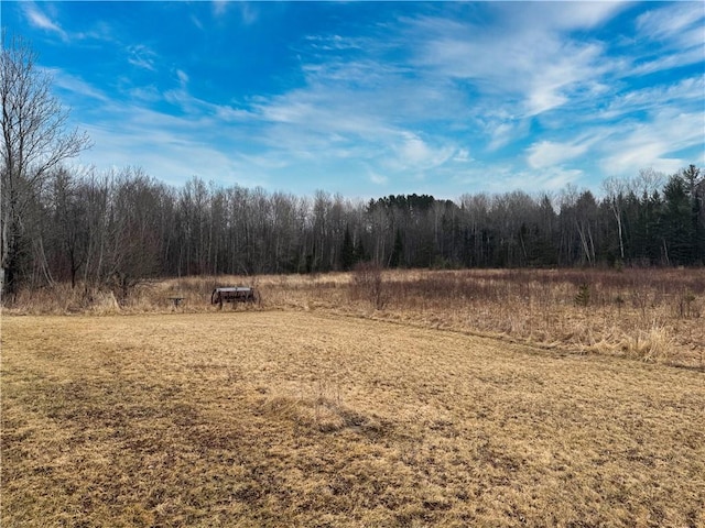 3168 W Howard St, Winter, WI 54896 - view of nature featuring a forest view and a rural view