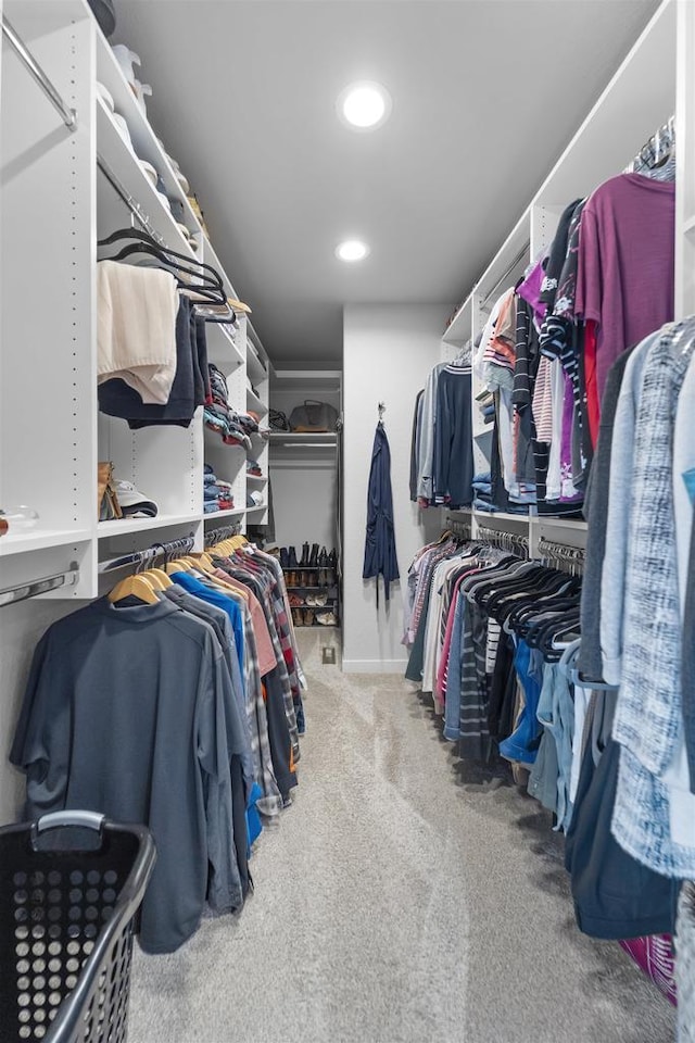 3247 Prospect Dr, Sun Prairie, WI 53590 - walk in closet with carpet floors