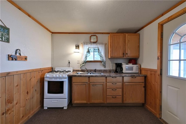 kitchen with white appliances, wooden walls, a textured ceiling, wainscoting, and a sink
