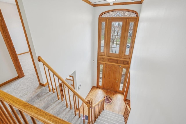 7817 Brule St, Madison, WI 53717 - entryway with ornamental molding, baseboards, and carpet flooring