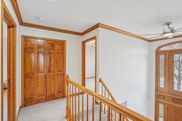 7817 Brule St, Madison, WI 53717 - carpeted entryway featuring ornamental molding and ceiling fan