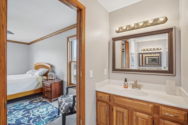 7817 Brule St, Madison, WI 53717 - bathroom with crown molding and vanity