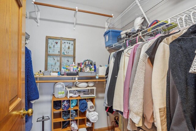 7817 Brule St, Madison, WI 53717 - view of walk in closet