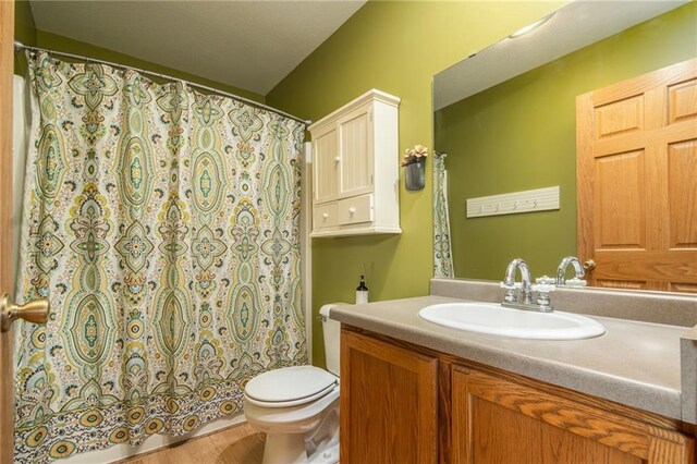 318 Meadow Lark Ln, Osceola, WI 54020 - bathroom featuring toilet, a shower with shower curtain, vanity, and wood finished floors