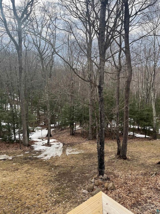 27200 N Maple Hill Rd, Washburn, WI 54891 - view of yard