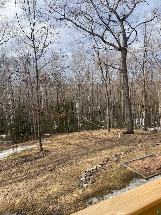 27200 N Maple Hill Rd, Washburn, WI 54891 - view of yard featuring a view of trees