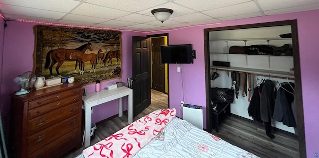 27200 N Maple Hill Rd, Washburn, WI 54891 - bedroom featuring wood finished floors, a closet, and a drop ceiling