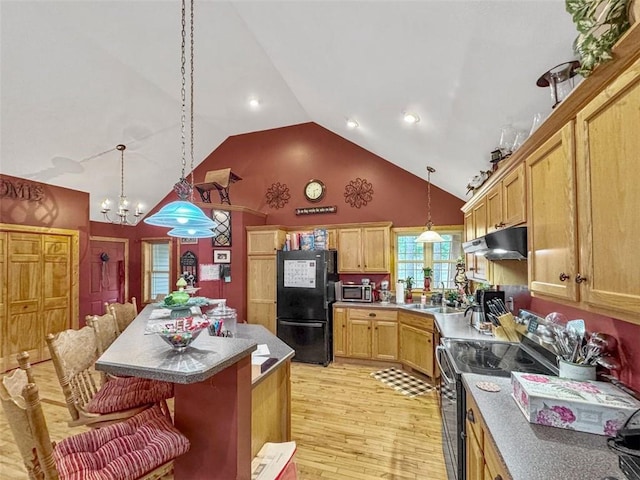 10244 124th St, Chippewa Falls, WI 54729 - kitchen with a sink, light wood-style floors, under cabinet range hood, stainless steel appliances, and high vaulted ceiling