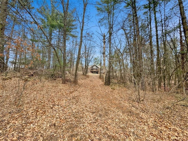 10244 124th St, Chippewa Falls, WI 54729 - view of nature
