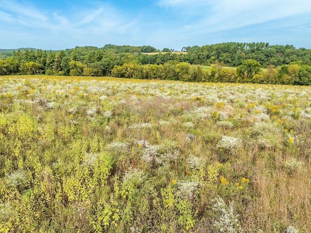 S617 County Road G, Wonewoc, WI 53968 - view of landscape featuring a view of trees