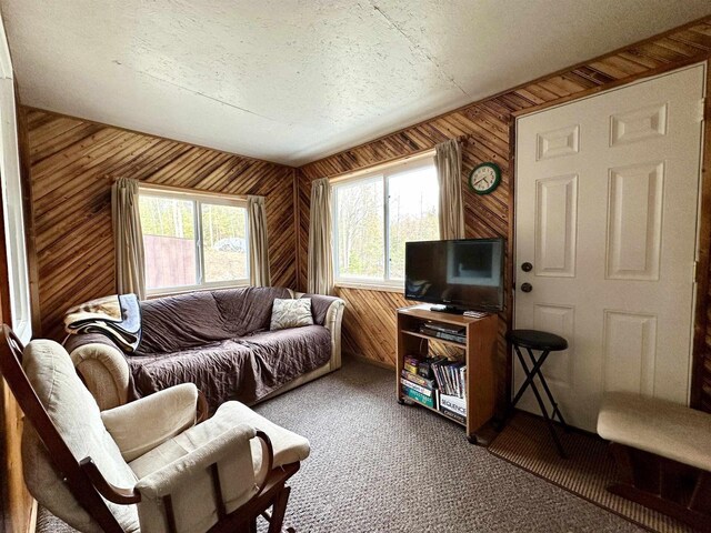 N7824 Typner Lake Rd, Deerbrook, WI 54424 - living room with wood walls, carpet, and a textured ceiling