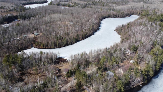 N7824 Typner Lake Rd, Deerbrook, WI 54424 - drone / aerial view with a forest view