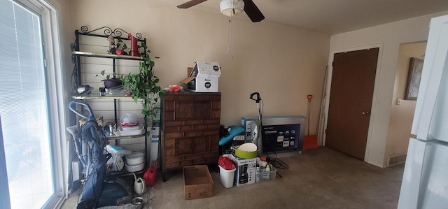 4141 W Cherrywood Ln, Brown Deer, WI 53209 - storage featuring a ceiling fan