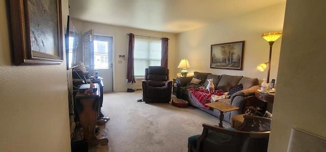 4141 W Cherrywood Ln, Brown Deer, WI 53209 - living room with carpet flooring