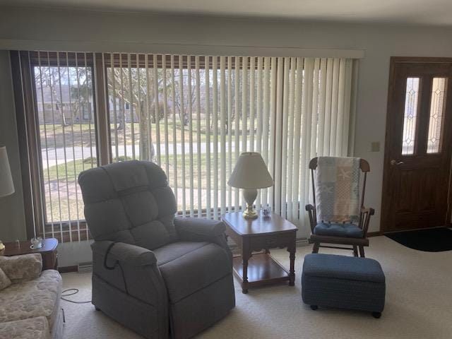sitting room with a wealth of natural light and carpet