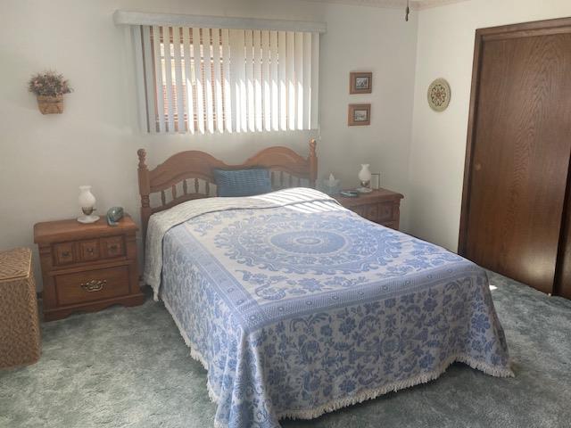 carpeted bedroom with a closet