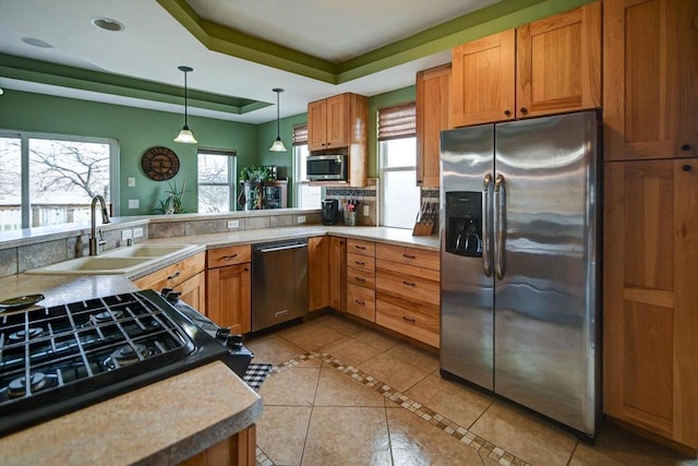 446 County Road Bb, Marshall, WI 53559 - kitchen with a raised ceiling, appliances with stainless steel finishes, a sink, and a healthy amount of sunlight