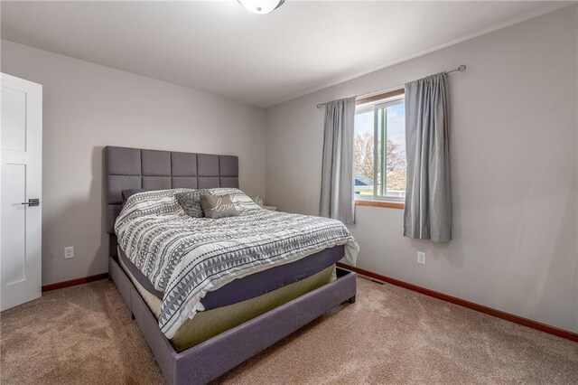 306 Dunn St, Colfax, WI 54730 - bedroom with baseboards and carpet flooring