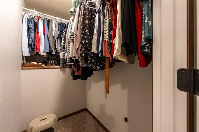 306 Dunn St, Colfax, WI 54730 - spacious closet featuring carpet