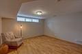 1359 Dianne Ave, Belleville, WI 53508 - below grade area with light wood finished floors