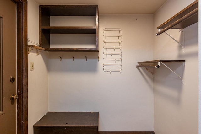 2136 White Swan Dr, Oshkosh, WI 54901 - view of walk in closet