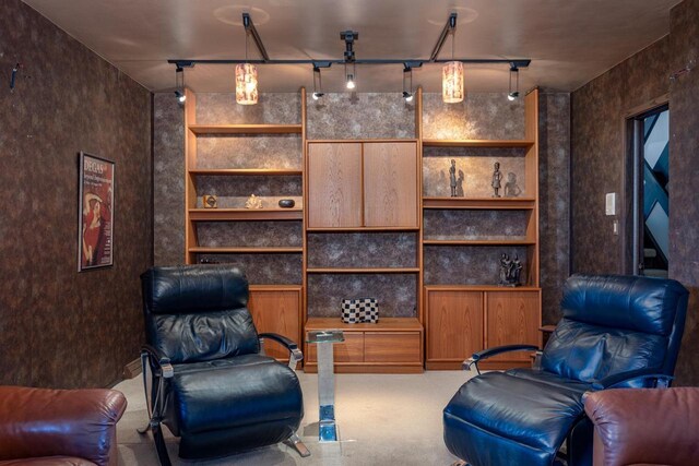 2136 White Swan Dr, Oshkosh, WI 54901 - sitting room with track lighting and built in shelves