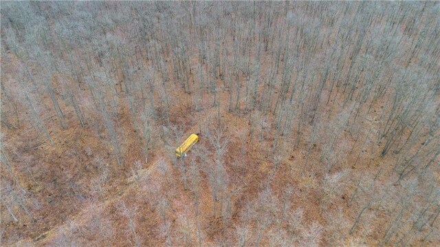 40ACRES Dickerson Ave, Thorp, WI 54771