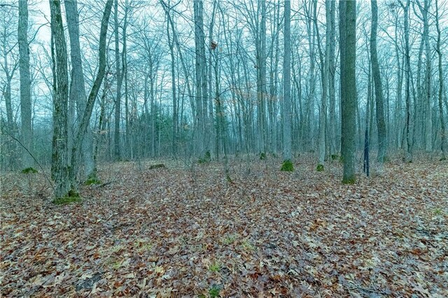 40ACRES Dickerson Ave, Thorp, WI 54771