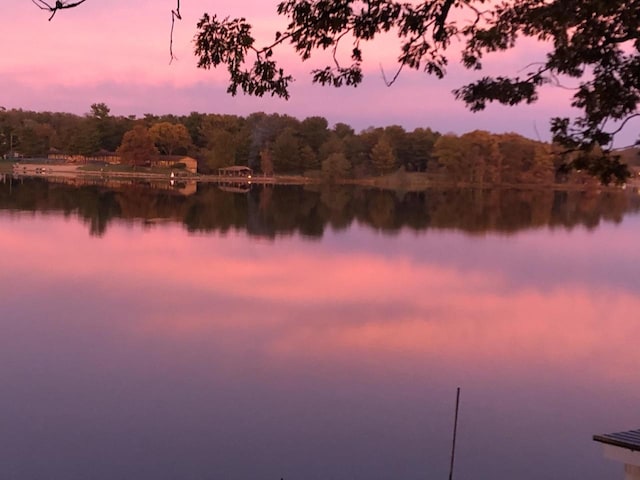 property view of water with a wooded view