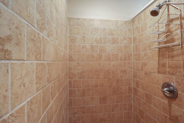 9521 County Road Ww, Wisconsin Rapids, WI 54494 - interior details with a tile shower