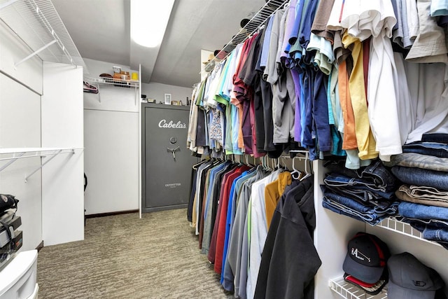 1545 County Rd I, Oshkosh, WI 54902 - walk in closet with carpet flooring