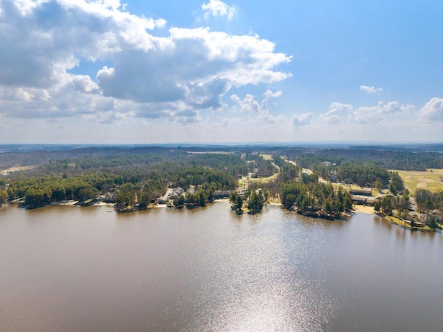 birds eye view of property with a view of trees and a water view