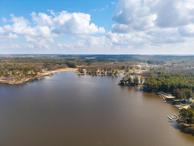 drone / aerial view with a water view and a forest view