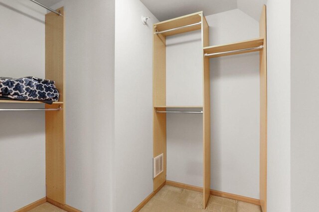 123 W Washington Ave Unit 306, Madison, WI 53703 - view of walk in closet