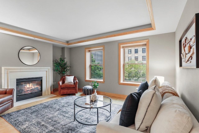 123 W Washington Ave Unit 306, Madison, WI 53703 - living room featuring a tray ceiling, wood finished floors, a fireplace with flush hearth, and baseboards
