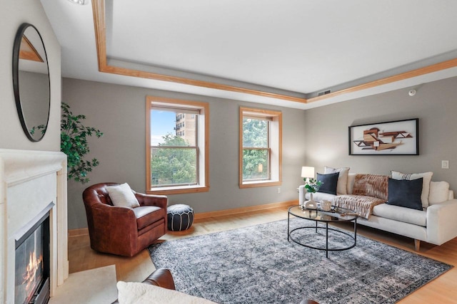123 W Washington Ave Unit 306, Madison, WI 53703 - living room featuring a glass covered fireplace, a raised ceiling, wood finished floors, and baseboards