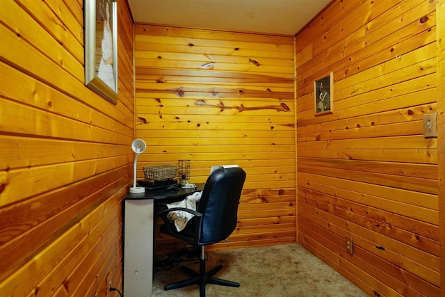 1001 Wisconsin Ave, North Fond Du Lac, WI 54937 - office area featuring wood walls and carpet