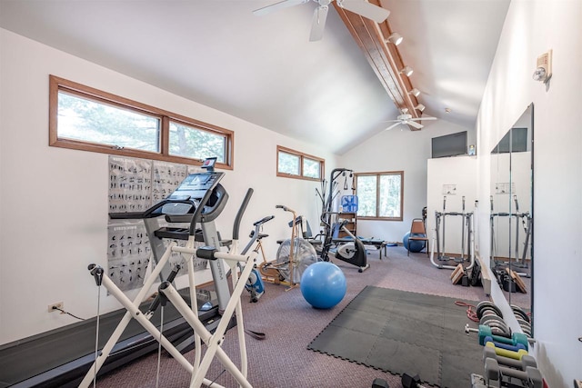 workout area with high vaulted ceiling, ceiling fan, and carpet floors