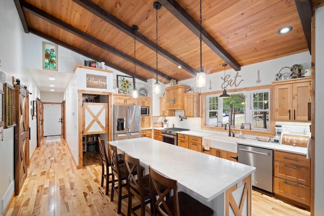 1979 9th Ave, Friendship, WI 53934 - kitchen featuring a sink, wooden ceiling, premium appliances, and a barn door