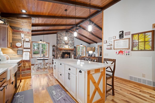 1979 9th Ave, Friendship, WI 53934 - kitchen with wood ceiling, visible vents, light wood-style floors, light countertops, and a stone fireplace