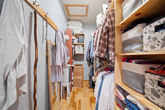 1979 9th Ave, Friendship, WI 53934 - spacious closet with wood finished floors
