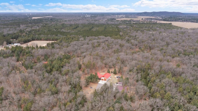 1979 9th Ave, Friendship, WI 53934 - aerial view with a wooded view