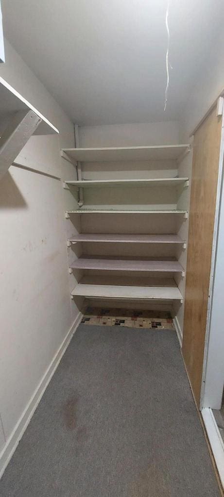 140 E Ave, Iron Ridge, WI 53035 - walk in closet with carpet