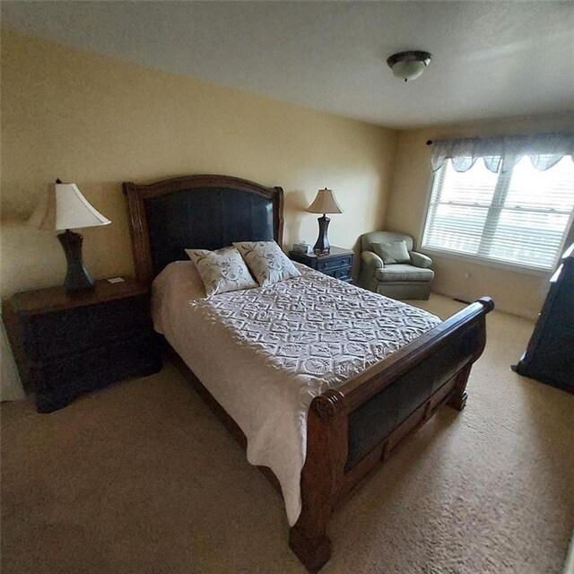 2856 29th Ave Unit 110, Birchwood, WI 54817 - bedroom with carpet flooring