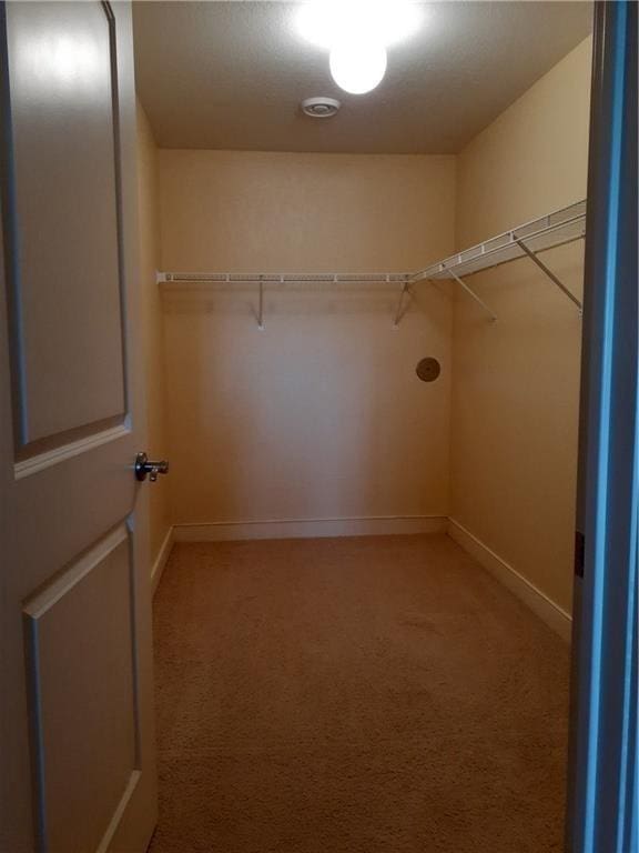 2856 29th Ave Unit 110, Birchwood, WI 54817 - walk in closet featuring light colored carpet