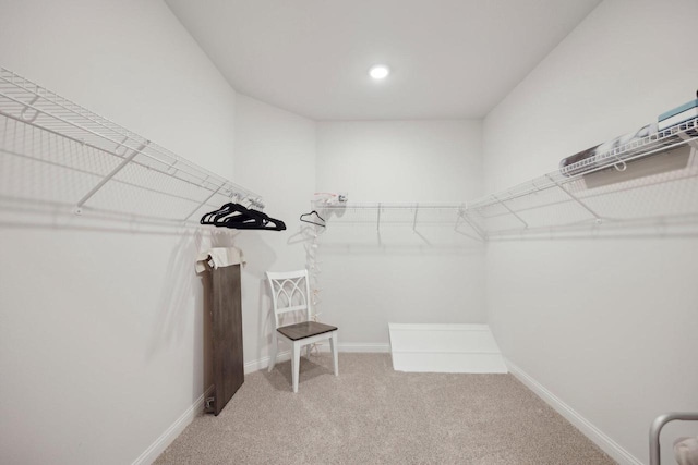spacious closet with light colored carpet