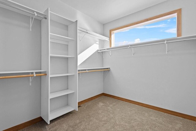3106 Lazy Oak Dr, Green Bay, WI 54311 - walk in closet with carpet