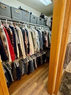 1330 Harvest Cir, Holmen, WI 54636 - spacious closet featuring wood finished floors